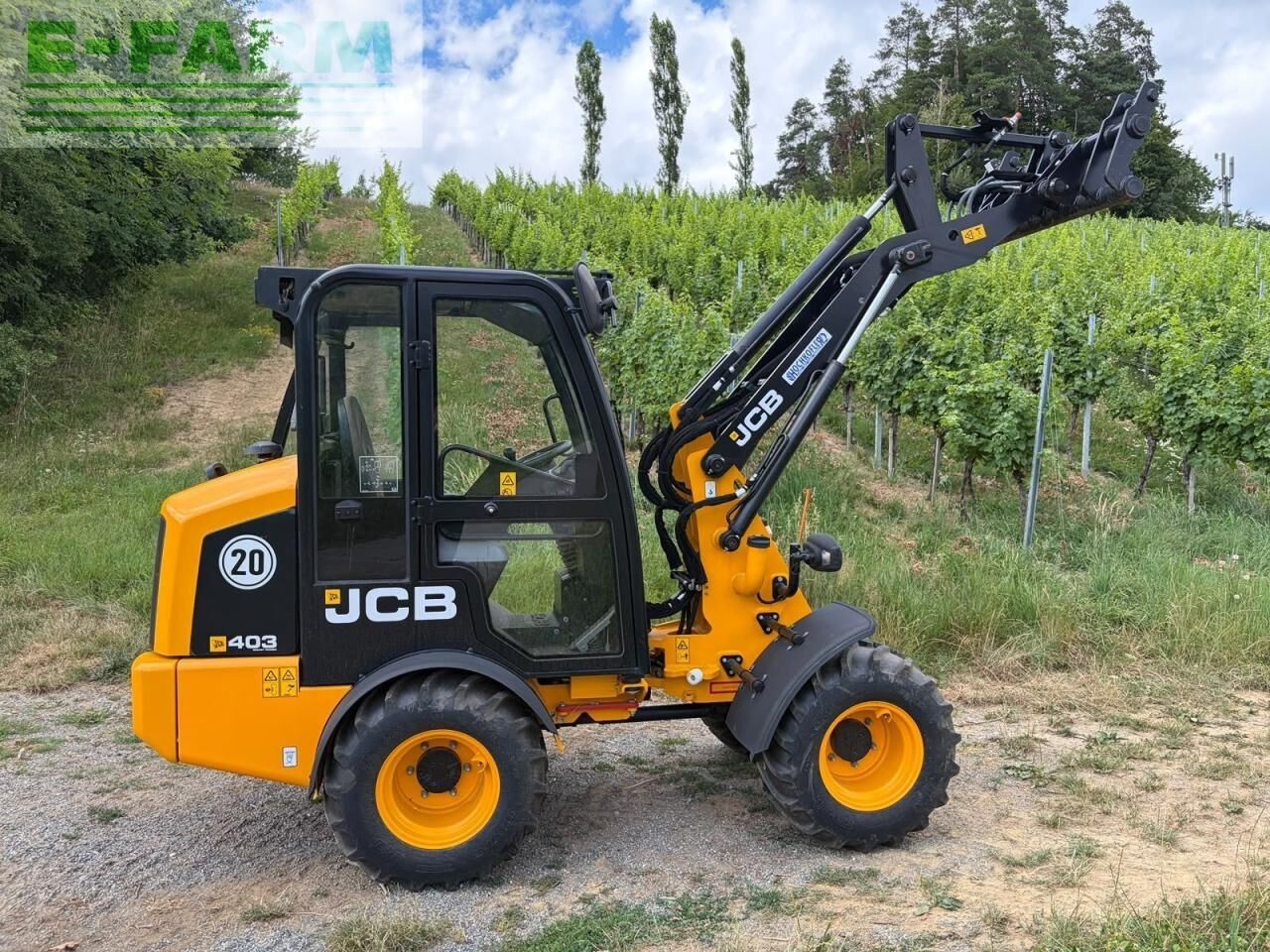 Mini pelle JCB 403 agri- Photo 3
